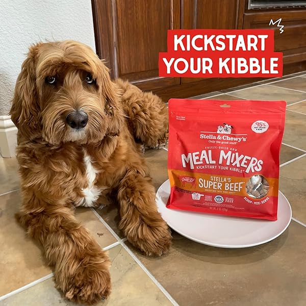 STELLA & CHEWY’S FREEZE DRIED RAW SUPER BEEF MEAL MIXER – DOG FOOD TOPPER FOR SMALL & LARGE BREEDS – GRAIN FREE, PROTEIN RICH RECIPE – 3.5 OZ BAG