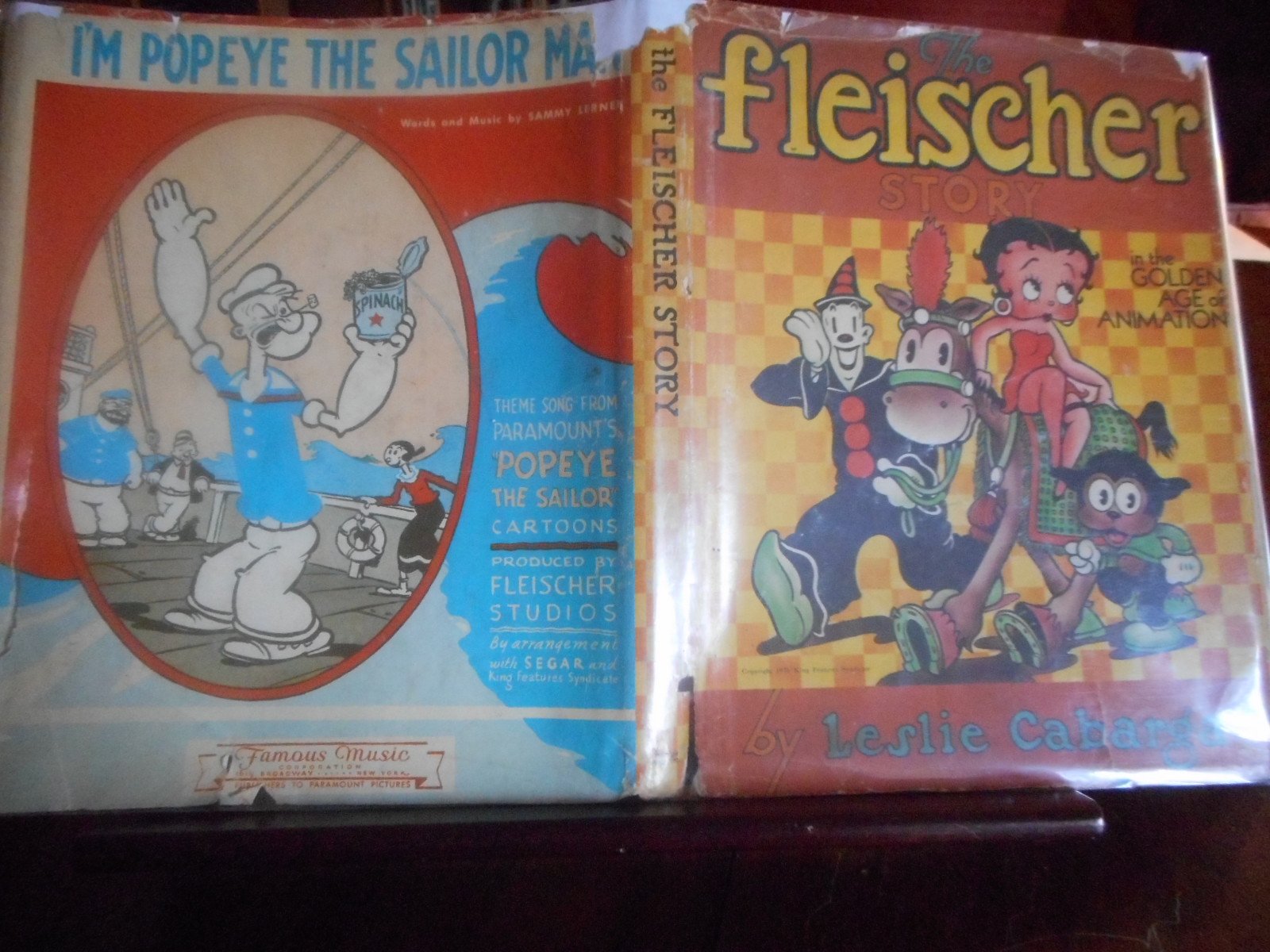 Cover of The Fleischer Story