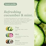 Miniml Anti-Bac Bathroom Cleaner 5L Refill Cucumber Mint Scent view 4