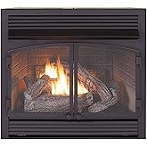 Duluth Forge Dual Fuel Ventless Gas Fireplace Insert - 32,000 BTU, Remote Control - Model# FDF400RT-ZC