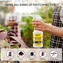 TRAP IT! Insect Repellent Peppermint Oil Spray for