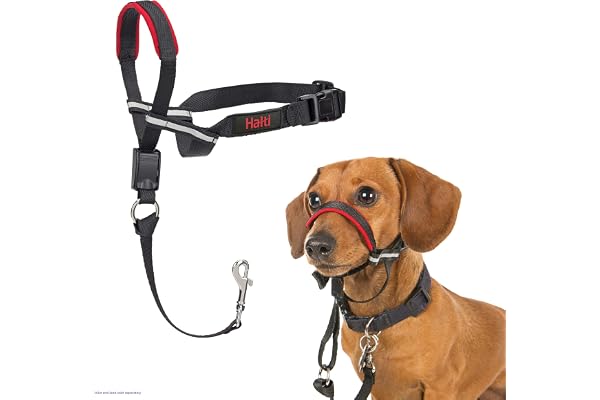 Halti Optifit Headcollar for Dogs | Size Small | Stop Your Dog Pulling on the Leash, Professional Anti-Pull Training Aid, Adj