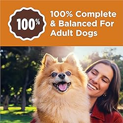 Purina Dog Chow Little Bites With Real Chicken And