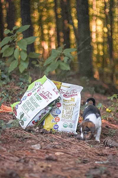 SMALL BREED ORGANIC TURKEY & OATS