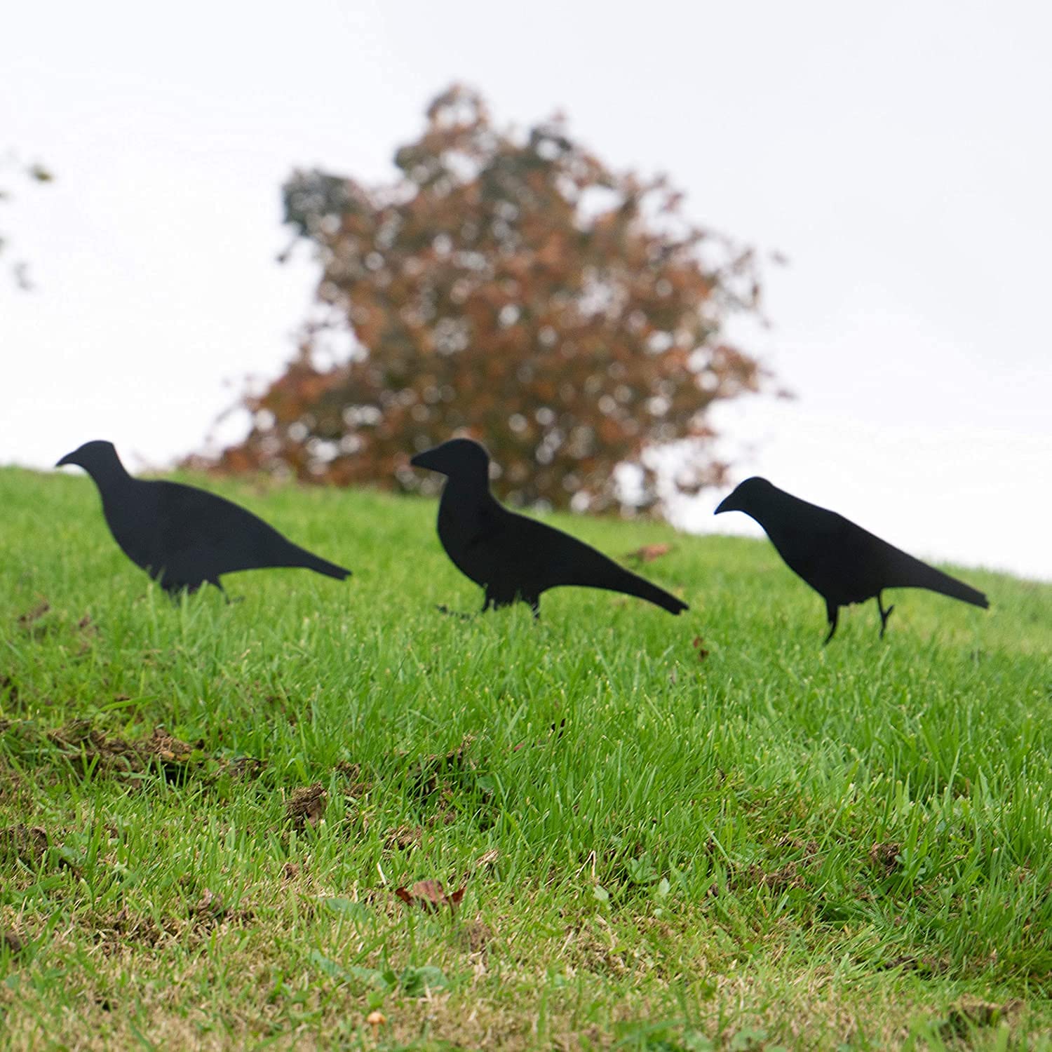 Garden Mile Shooting Targets Black Bird Animal Silhouette Field Target Shooting Practice with Ground Spike Portable Shooting Gallery Air Gun Rifle Airgun Hunting Accessories Field Target - Set of 3