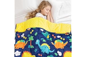 Weighted Blanket 5 Pounds, 36" x 48",Insugar Fleece Minky Dots Heavy Blanket Throw for Bed Sleeping, Soft Blankets Gift for B