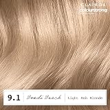 Clairol ColourStrong Permanent Hair Dye 9.1 Light Ash Blonde view 4