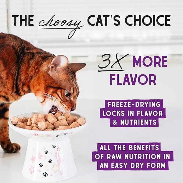 STELLA & CHEWY’S FREEZE-DRIED RAW CAT DINNER MORSELS – PREMIUM BEEF RECIPE WITH 98% GRASS-FED MEAT & ORGANS – NATURAL GRAIN-FREE CAT & KITTEN FOOD – MADE IN USA – 3.5 OZ