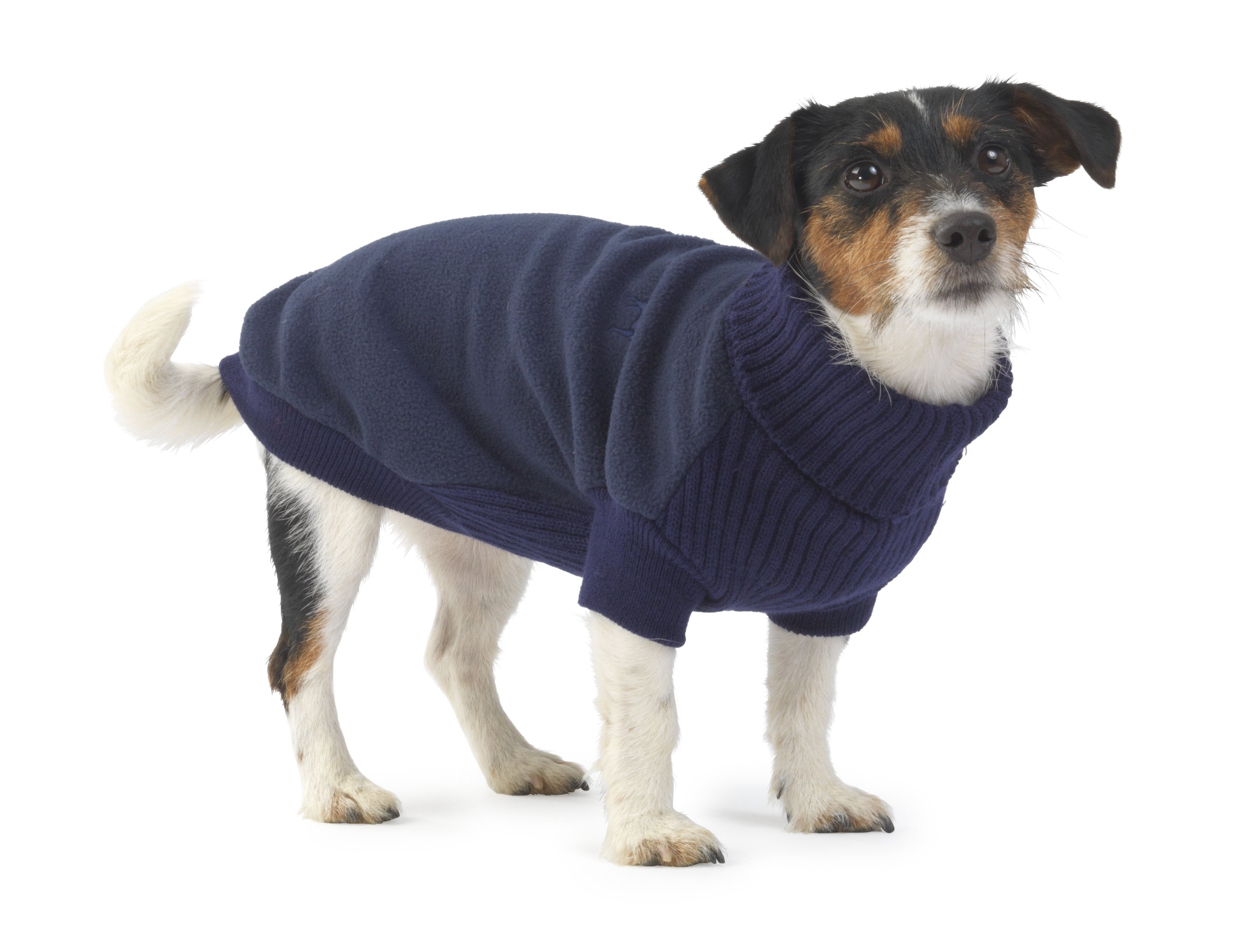 House of Paws Fleece and Knit Jumper, Small