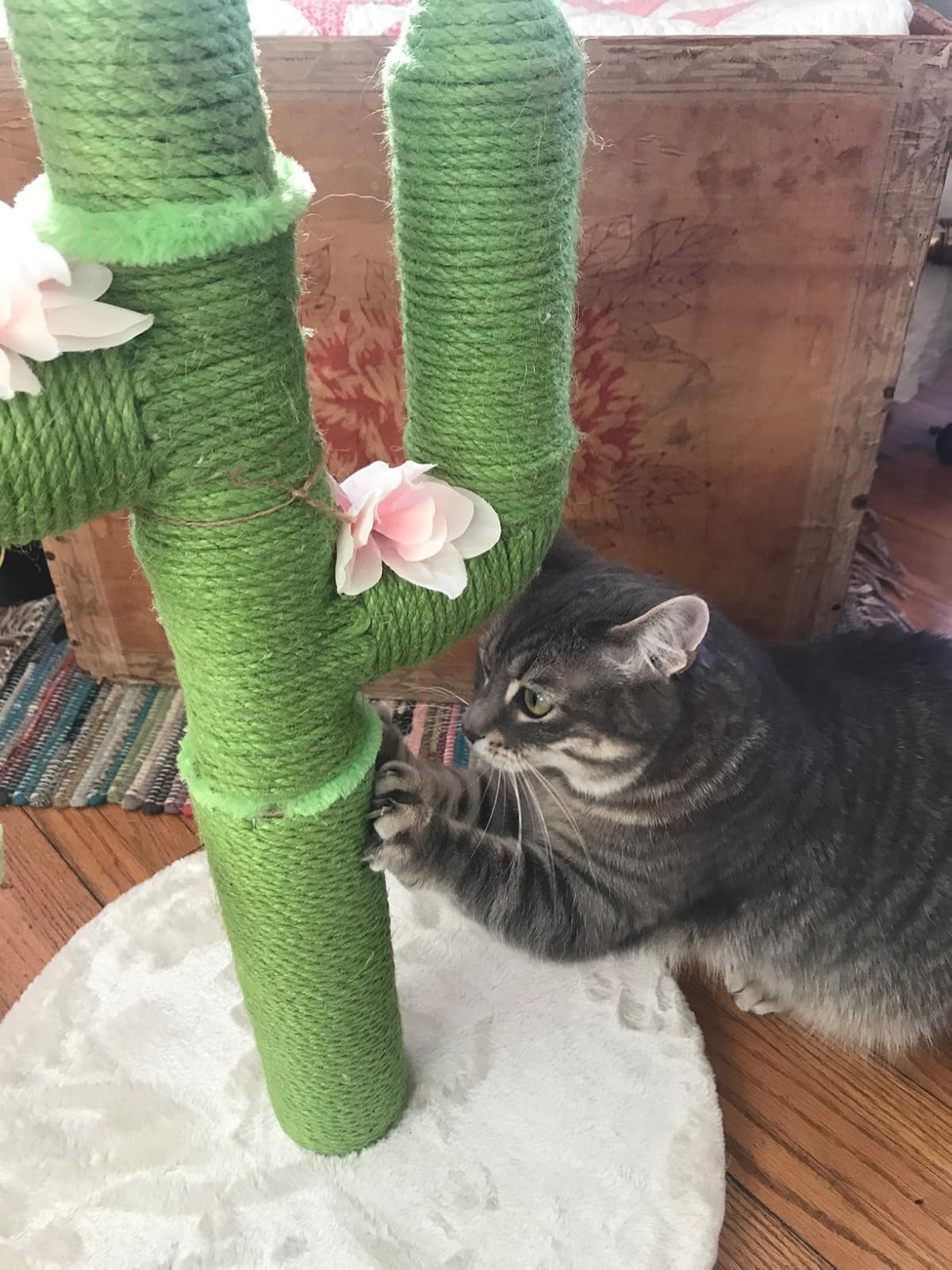diy cactus scratching post