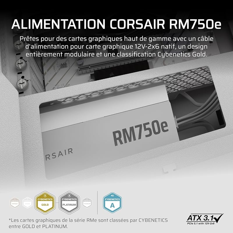 RM750e (2025) Alimentation ATX Entièrement Modulaire à Faible Bruit avec Câble 12V-2x6 – Compatible ATX 3.1 et PCIe 5.1, Efficacité Cybenetics Gold, Condensateurs Résistants à 105°C – Blanc