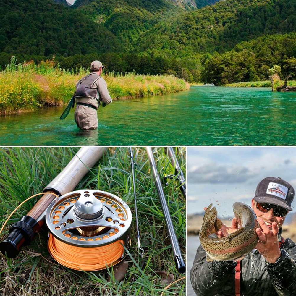 View 7