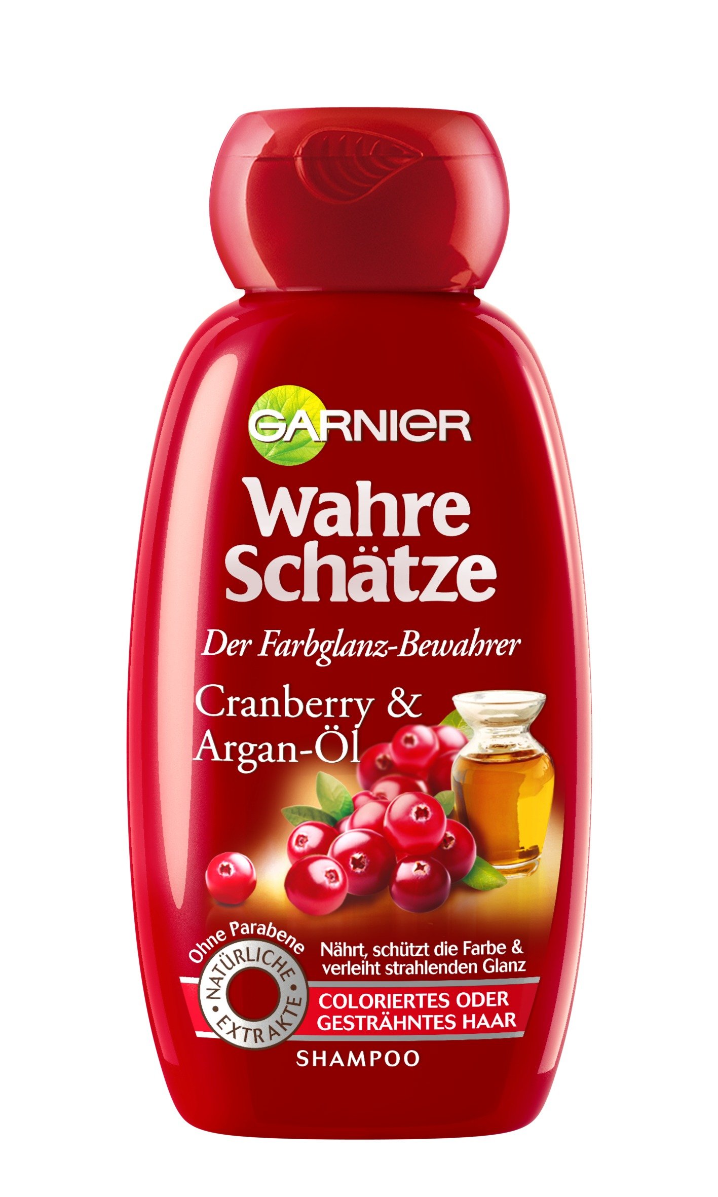 Garnier Whole Blends Shampoo Argan Oil and Blueberry
