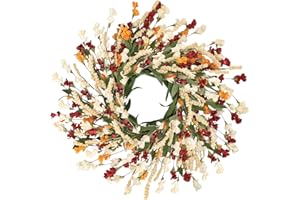 CHEAWRTZ 24'' Fall Wreaths for Front Door,Autumn Wreath,Fall Door Wreath,Spring Wreath,Fall Decorations for Home Window Wall Porch Farmhouse Wedding Home Decor Fall Wreath (Red+Orange+White)