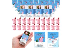 Cinnvoice 50 Sets Pink Capybara Christmas Gifts Bulk Christmas Mini Box Breathing Gifts Inspirational Tiny Pocket Animal Gift for Xmas Teacher Employee Coworker Supplies