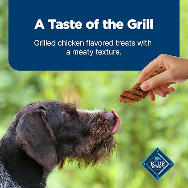 BLUE BUFFALO NUDGES GRILLERS NATURAL DOG TREATS MADE WITH REAL CHICKEN