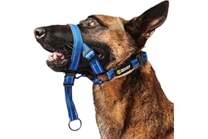 Zevey Dog Headcollar with Safety Strap Stops Heavy Pulling On The Leash Padded Reflective Head Halter for Small Medium Large Dogs Adjustable Head Harness for Training and Walking (Blue, L)