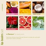 Artnaturals Natural Lip Balm 6-Pack Assorted Flavors Beeswax with Oils view 6