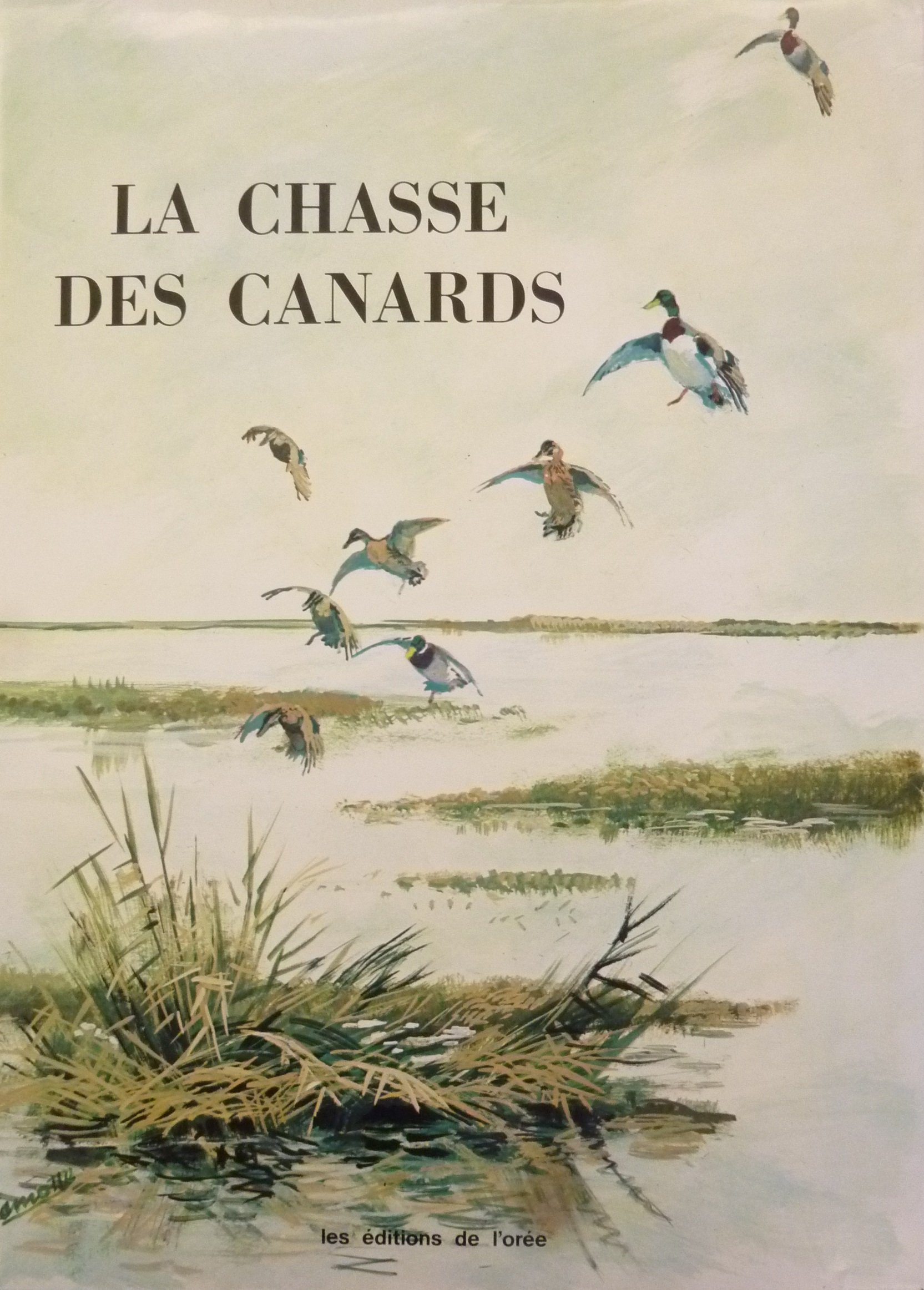 Amazon Fr La Chasse Aux Canards Docteur Ch Rocher Rene Dupeyron Lamotte F Berille Th De Conac X De Poret R Reboussin Livres