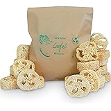 100% Natural Loofah Slices for Soap Making (20 Pack) - Luffa Slices Cuts - Loofah Kit - Organic Soap Making Products - Loofah