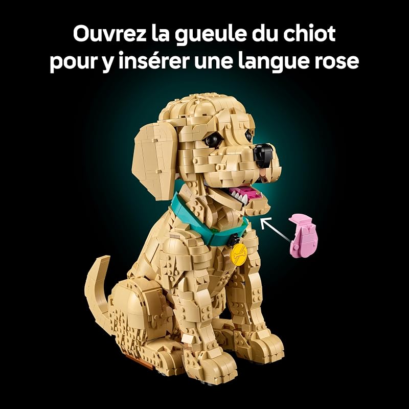 Icons Le Chiot Golden Retriever 11384