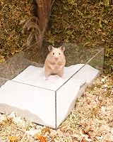Niteangel Hamster Desert Bath Sand No-Dust 6 lb Small Pet Bathing Sand view 5