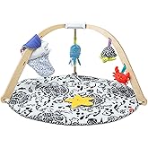 Melissa & Doug Ocean Easy-Fold Play Gym Developmental Toy for Infants, Reversible Mat, 5 Soft Toys, Birth to 9 Months - FSC C