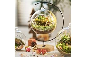 LUCKYRUNES 15-Piece Terrarium Kit with Live Moss – DIY Glass Globe Set with Tools, Soil, Stones & Spray Bottle – Indoor Mini Garden Gift for Plant Lovers, Home Decor & Zen Craft