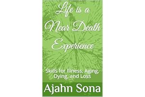 Life is a Near Death Experience: Skills for Illness, Aging, Dying, and Loss