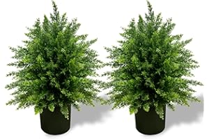 WAYNHUI Artificial Cedar Topiary Ball Tree, 21.5” 2pack Faux Potted Plants Artificial Shrubs Bushes with Cement Pot, Fake Evergreen Artificial Topiary for Indoor Outdoor Home Front Porch Decor