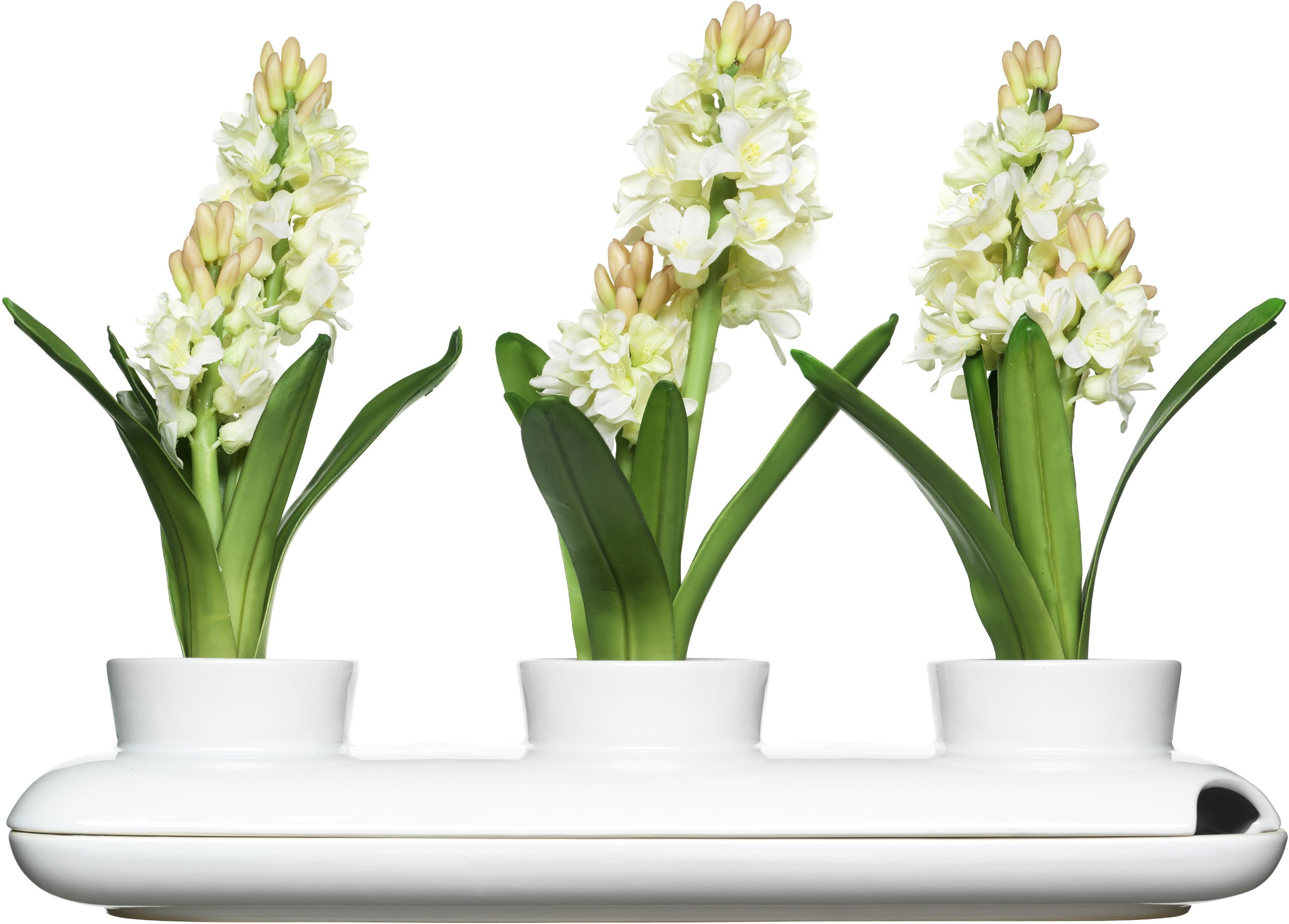 SAGAFORM Trio Herb Pot