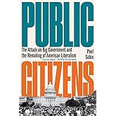 Public Citizens: The Attack on Big Government and the Remaking of American Liberalism