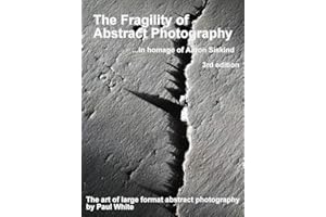 The Fragility of Abstract Photography... in homage to Aaron Siskind: The art of large format abstract photography 3rd edition