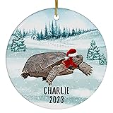 Santa Hat and Scarf Welcome Winter Gopher Tortoise