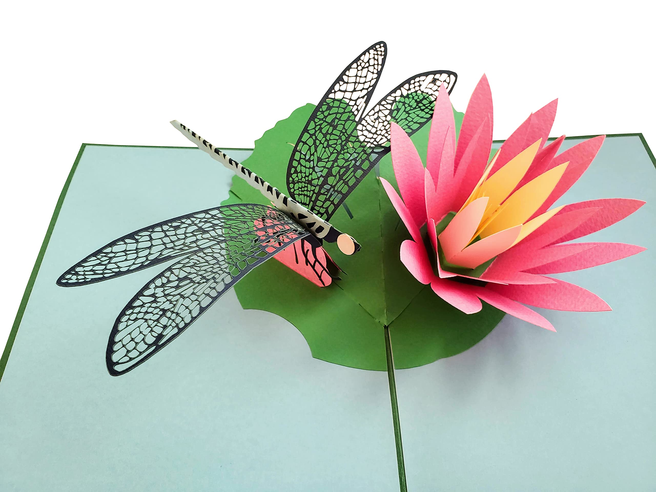 iGifts And Cards Dragonfly 3D Pop Up Greeting Card – Animal, Park, Water, Fly - Folds Flat - Fun, Birthdays, Just Because, Love, Special Days