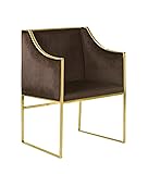 Iconic Home Rowan Modern Contemporary Steel Frame