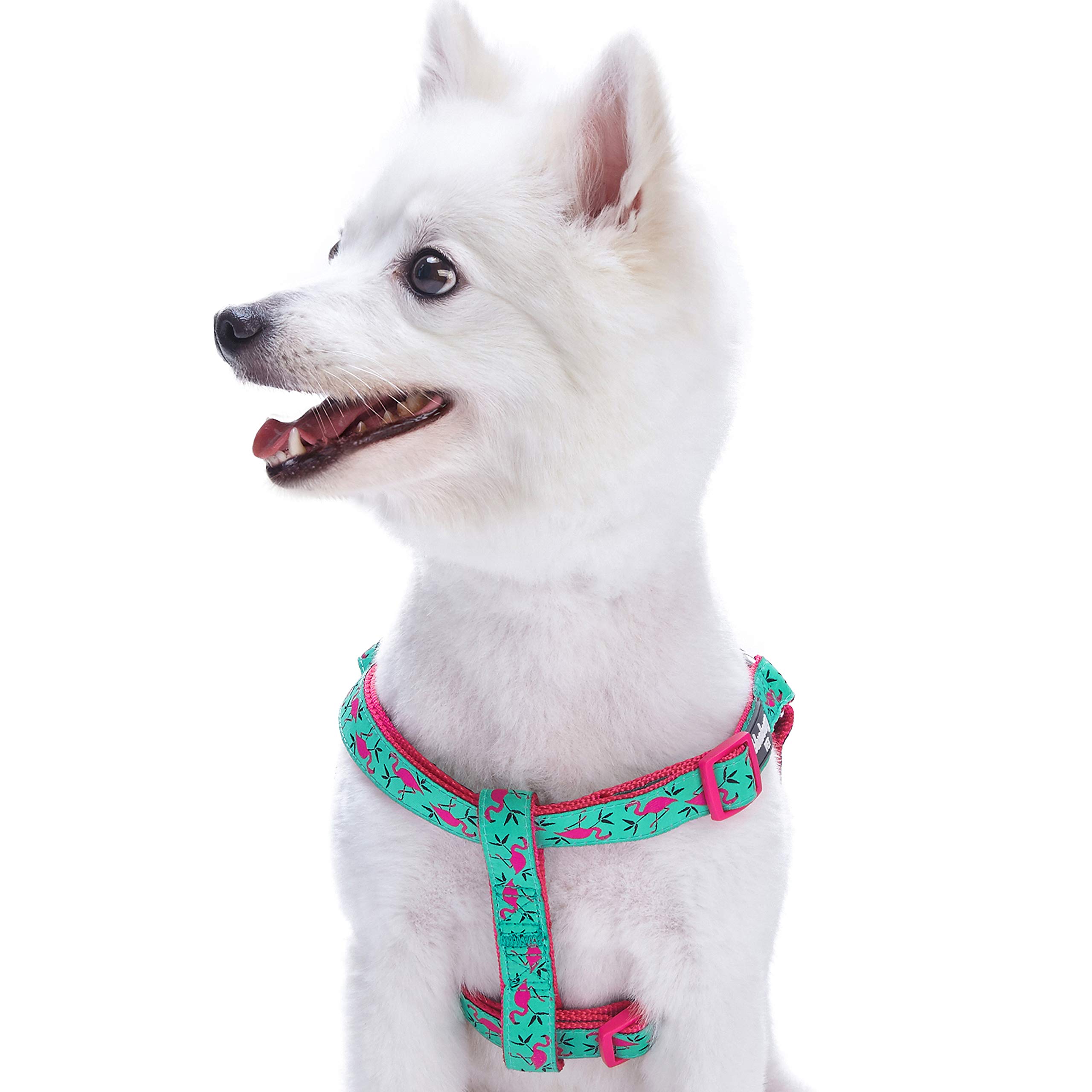 Blueberry Pet Step-in Pink Flamingo on Light Emerald Dog Harness, Chest Girth 51cm-66cm, Medium, Adjustable Harnesses for Dogs