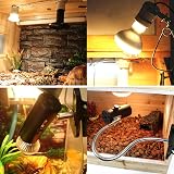 DERNORD 100W Reptile Heat Lamp E27 Build Pack 2 Daylight Bulbs Vivarium view 5
