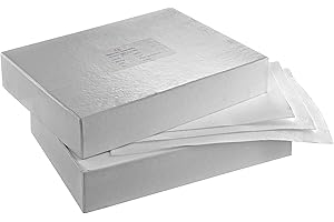 Omicron™ 135810 Boro-Silicate Glass Fiber Binder Free Filter, 0.2um Micron, 8" x 10"(203mm X 254mm)(50/Pk)