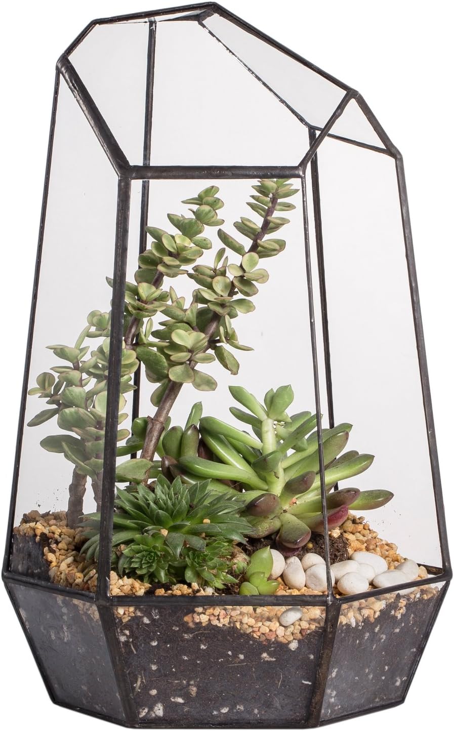 Campana in vetro a cupola per piante grasse da esposizione, terrario decorativo con base in sughero di legno fatto a mano, contenitore in vetro fatto a mano per decorazione da tavolo per