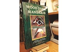 The Wood Duck and the Mandarin: The Northern Wood Ducks