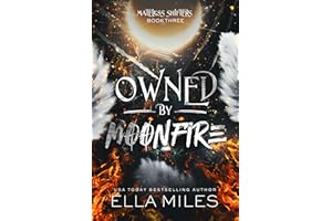 Owned by Moonfire (Mateless Shifters Book 3)