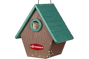 Kingsyard Recycled Plastic Bird House for Outdoors - Hanging Nesting Box with Predator Guard & Air Vents for Wren Finch Chickadee, Green