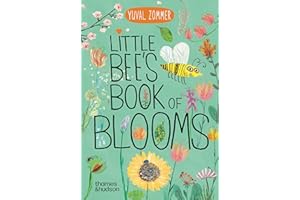 Little Bee's Book of Blooms (Big Book of...)