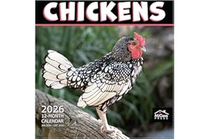 MICASA PRESS Chickens 2026 Wall Calendar 12 Month | 12" x 24" Open | Thick & Sturdy Paper | Holiday Gift | Farm Animals Funny Calendar 2026