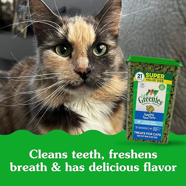 GREENIES FELINE DENTAL CAT TREATS, TEMPTING TUNA FLAVOR, 21 OZ. TUB