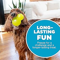 Outward Hound Double-Tuff Durable Interactive Treat