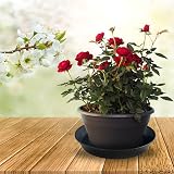 Growcery Plant Pot Saucers 40 cm Heavy Duty Drip Tray 1 Pack view 7