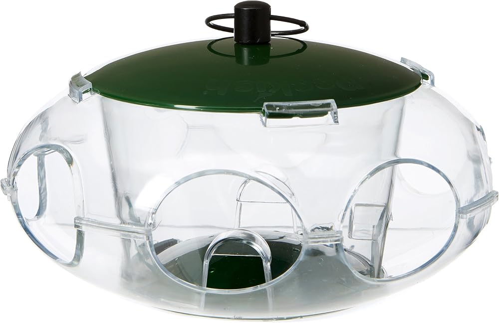 Peckish Bird Seed Feeder Small Birds Green 24.8x14.8x5.4 cm