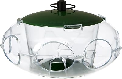 Peckish Bird Seed Feeder Small Birds Green 24.8x14.8x5.4 cm